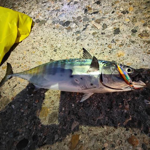 Plantilla de metal de carbono para cañas de pesca de plumas