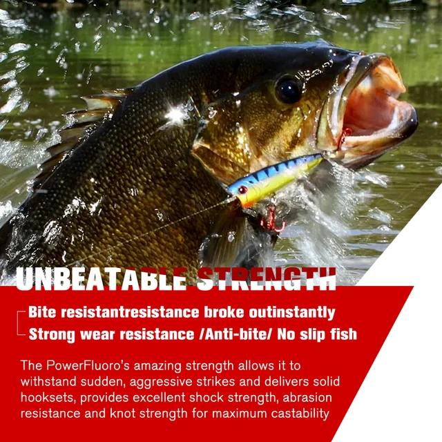 Línea de pesca ideal para capturar especies de agua dulce y salada