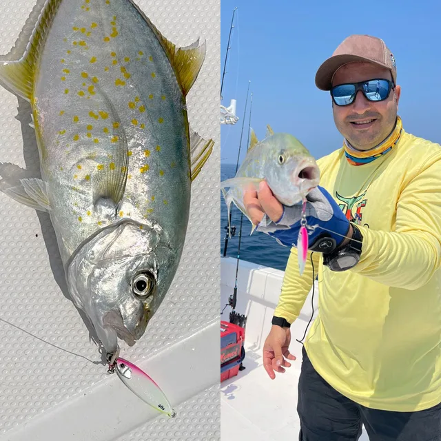Señuelos de pesca para agua dulce y salada