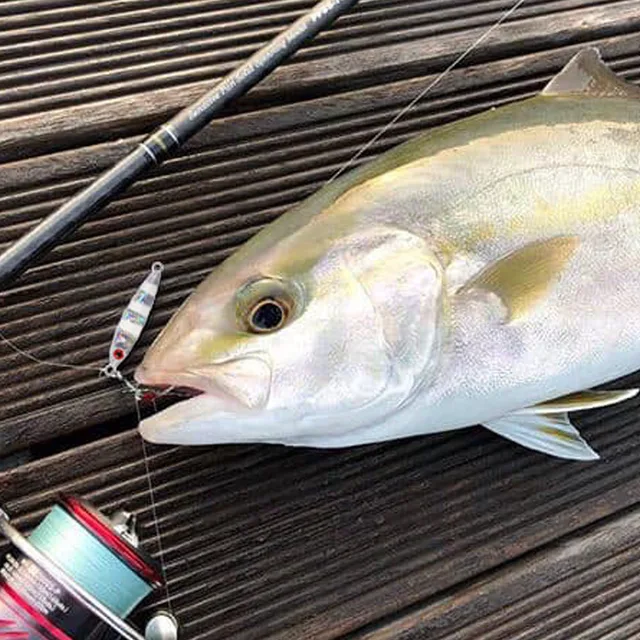 Minnows y cebo artificial para pesca en agua salada