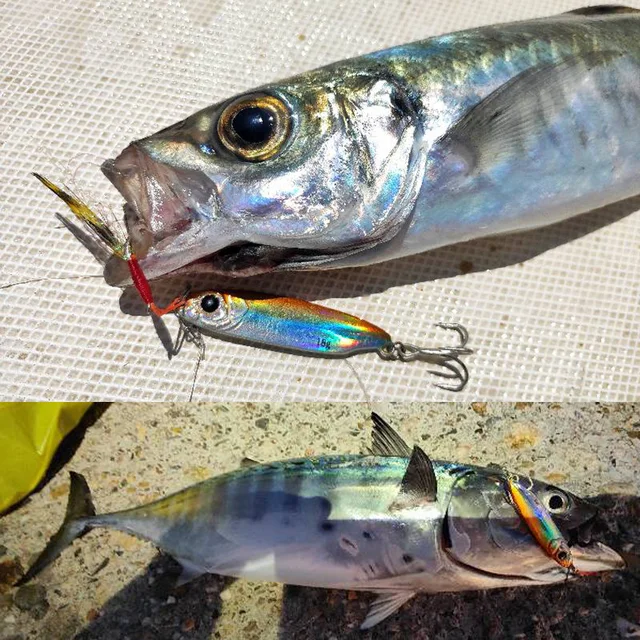 Accesorios de pesca para mejorar tus capturas