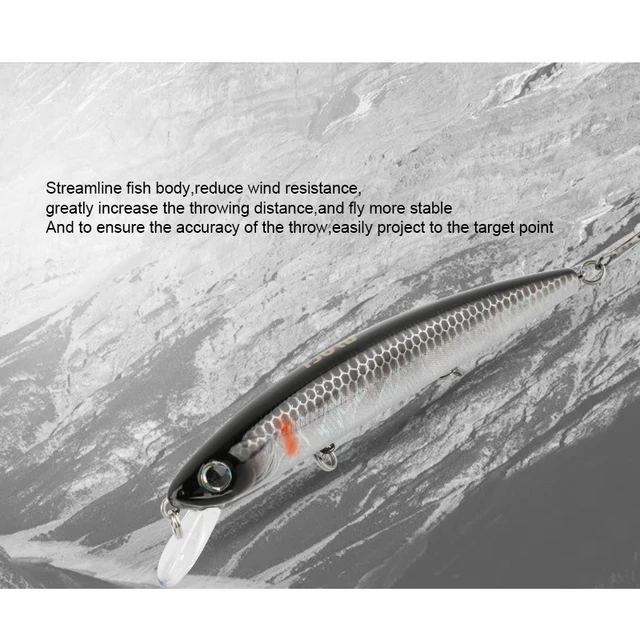 Señuelo Duro de Carpa - Accesorio de Pesca de Invierno